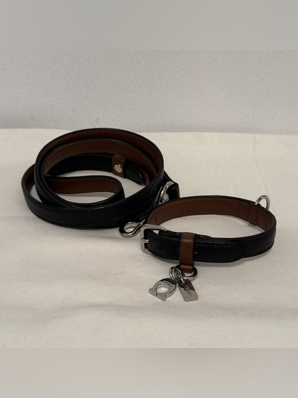 Coach Small Pet Collar and Leash